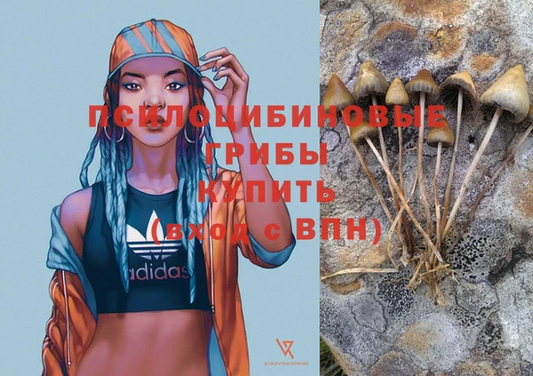 круглые Абаза