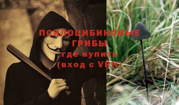 круглые Абаза